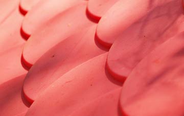 Ellisfield plastic roof costs